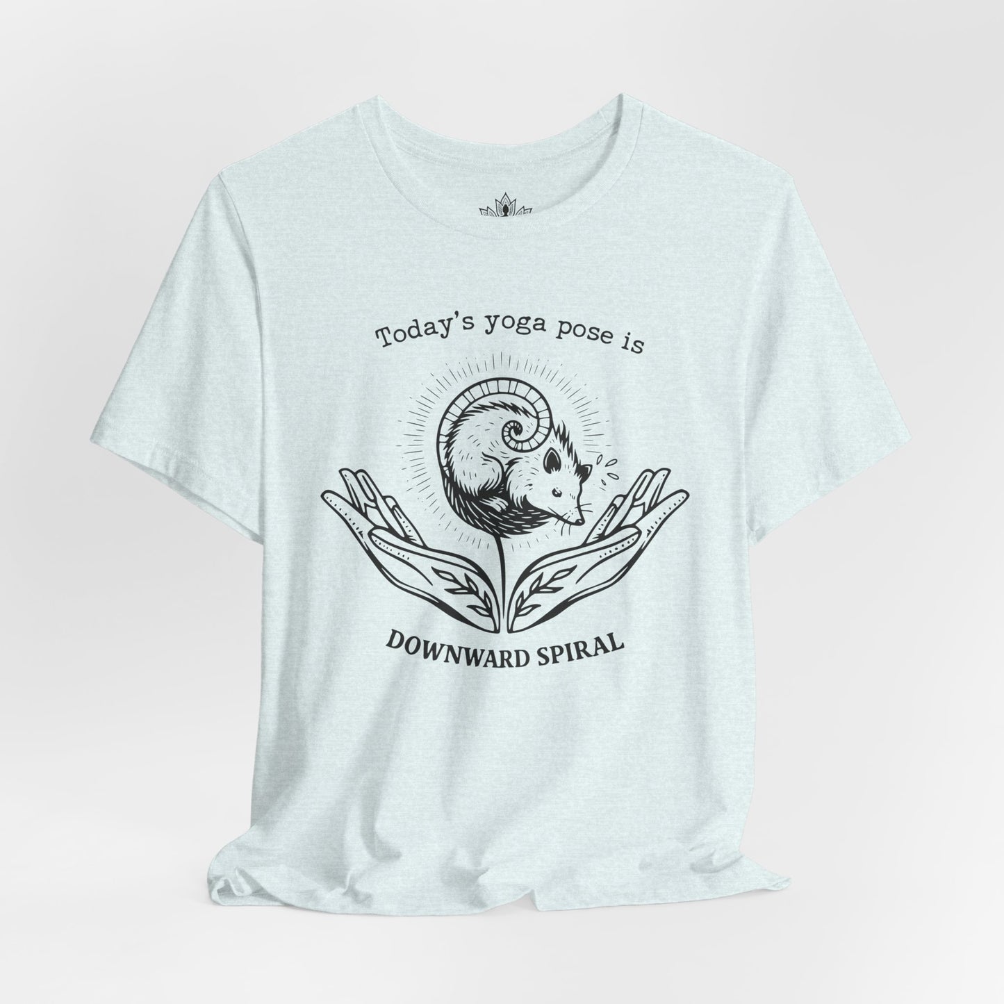 Downward Spiral Opossum Tee