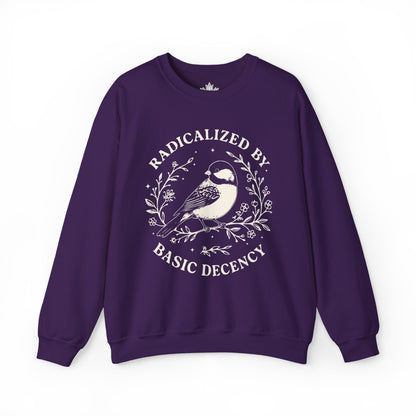 Radicalized By Basic Decency Sweatshirt