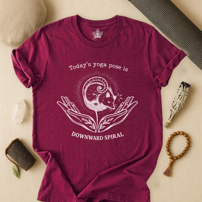 Downward Spiral Opossum Tee