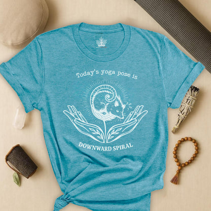 Downward Spiral Opossum Tee