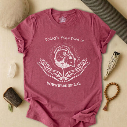 Downward Spiral Opossum Tee