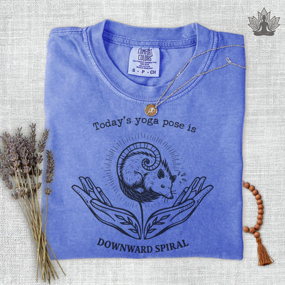 Downward Spiral Opossum Comfort Colors® Tee