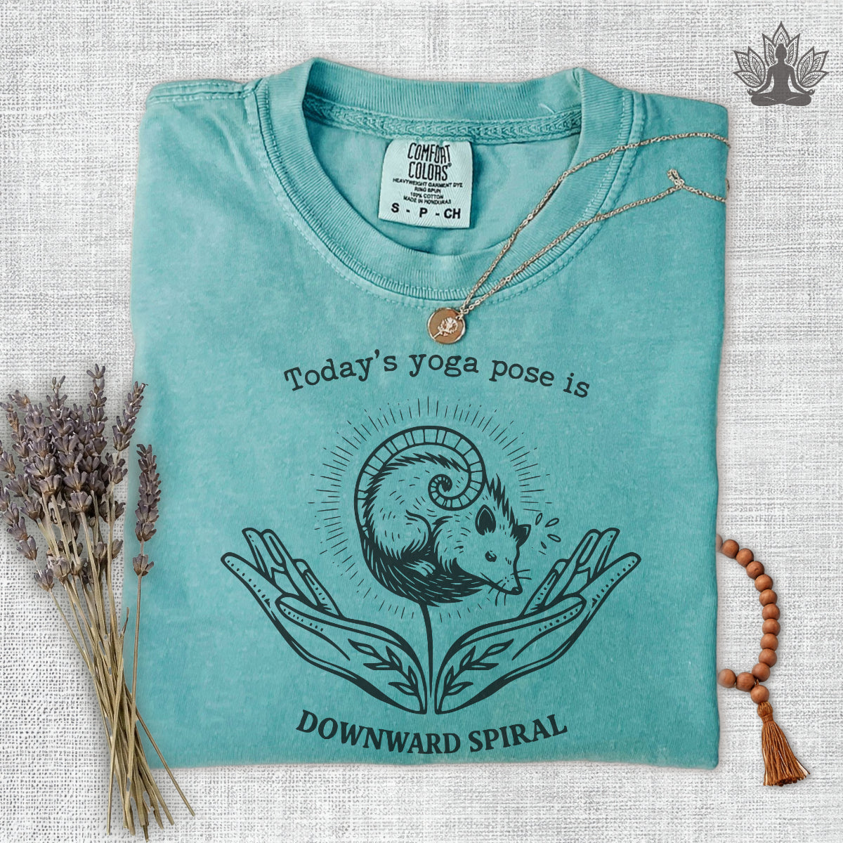 Downward Spiral Opossum Comfort Colors® Tee
