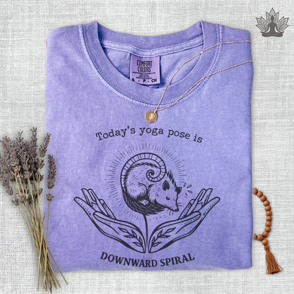 Downward Spiral Opossum Comfort Colors® Tee