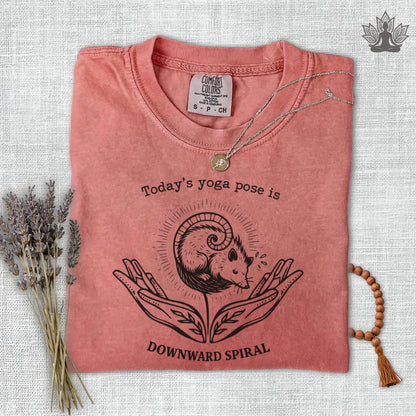 Downward Spiral Opossum Comfort Colors® Tee