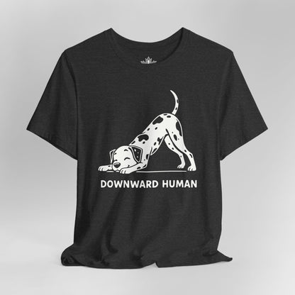 Dalmatien 'Downward Human'